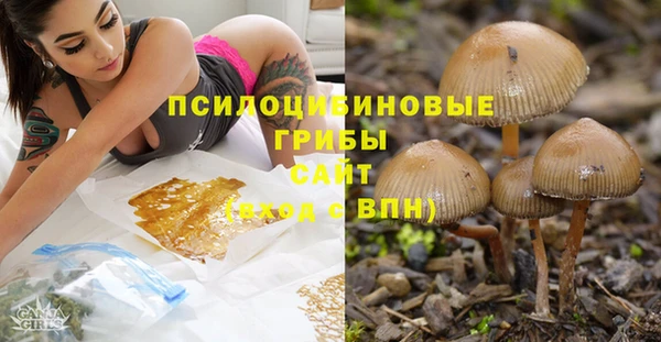 дмт Лабытнанги