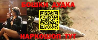 стаф Гатчина