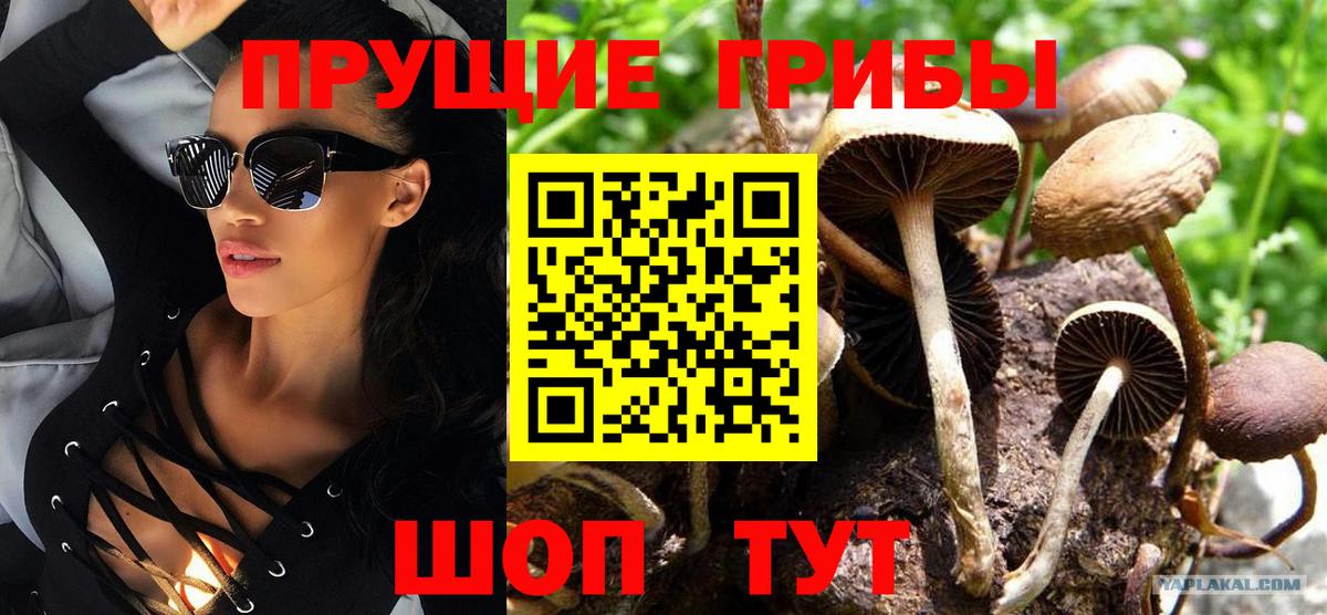 Кокаин Липецк