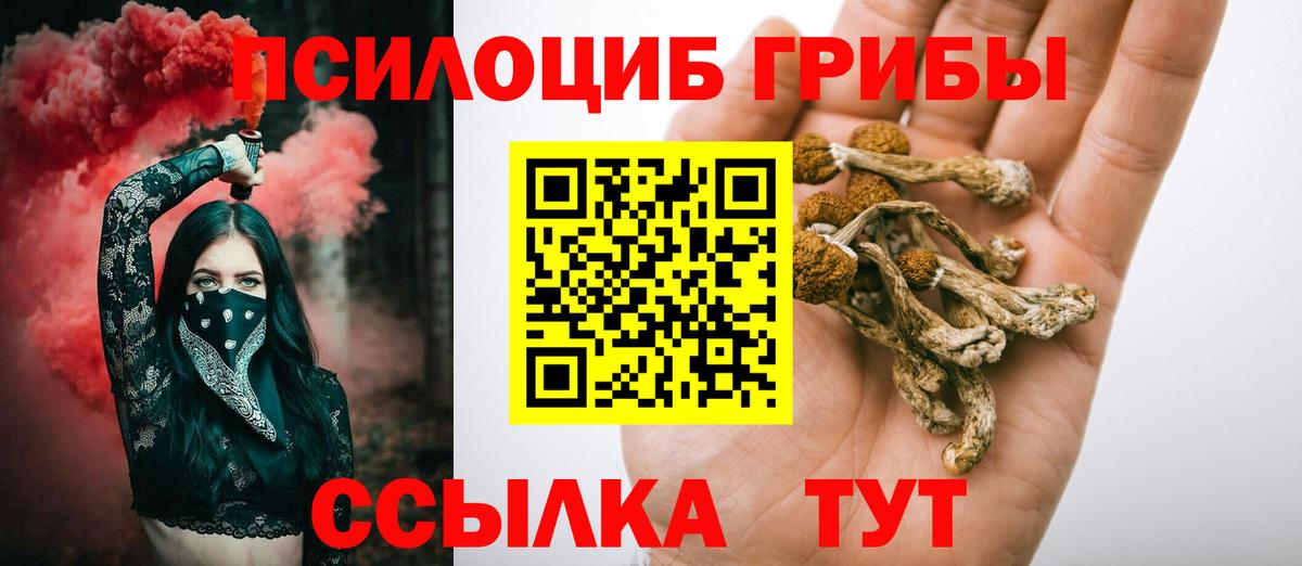 Псилоцибиновые грибы прущие грибы Липецк