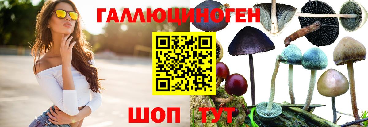 Галлюциногенные грибы мухоморы  Галлюциногенные грибы прущие грибы  Вход с VPN  наркотики  Липецк 